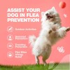 CHEWIA Natural Dog Flea and Tick Prevention Chews for All