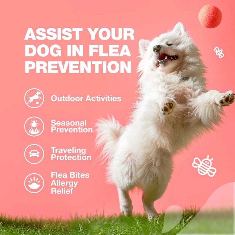 CHEWIA Natural Dog Flea and Tick Prevention Chews for All