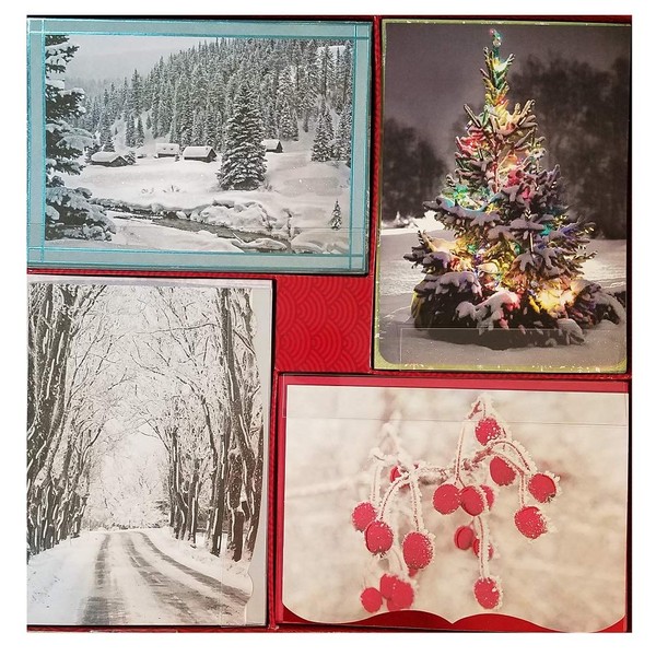 Hallmark Style 40-Count Christmas Holiday Cards with Envelopes - Snowy Trees