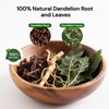 Dandelion Leaf and Root Tea bags, Natural Chinese Detox Herbal