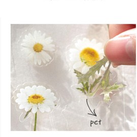 HEMOTON Pegatinas para Diario Mujer 5 Hojas de Calcomanías Decorativas de Plástico para Manualidades y Scrapbooking Diseños Únicos para Cuadernos y Agendas Estilo Varios estilos