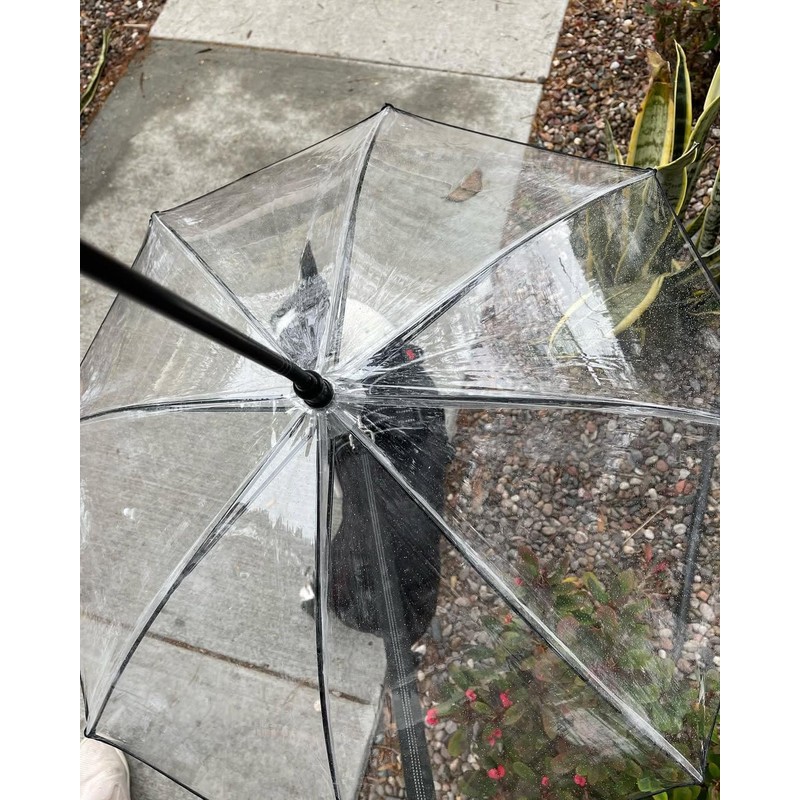 ENJOYING Dog Umbrella Small Breed, Clear Pet Umbrella Leash for