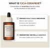 Skin1004 Madagascar Centella Probio-cica Intensive Ampoule 5 Sensible Acné Grasa
