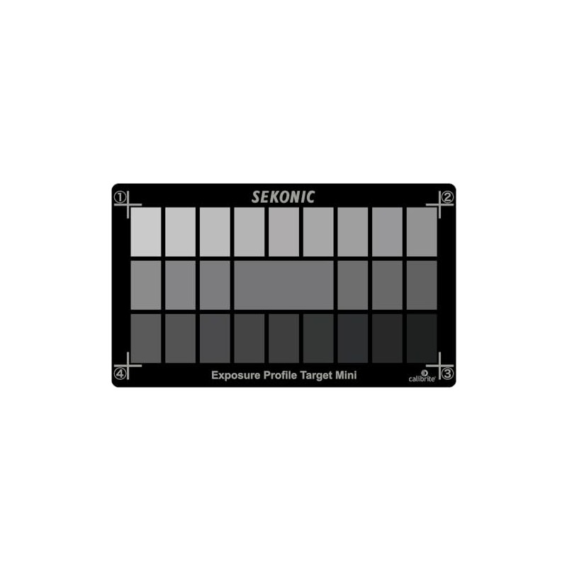Seconic Exposed Profile Target Mini 014995