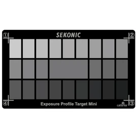 Seconic Exposed Profile Target Mini 014995
