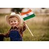 India Stick Flag 4x6IN 12 Pack Small Mini Indians National