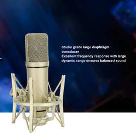 Cardioid Condenser Microphone, Metal Wired Studio Condenser Microphone, with Desktop Stand and Cable, PC Microphone for Podcasting Streaming