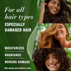 Herbal Essences Champu y acondicionador de aceite de argan sin
