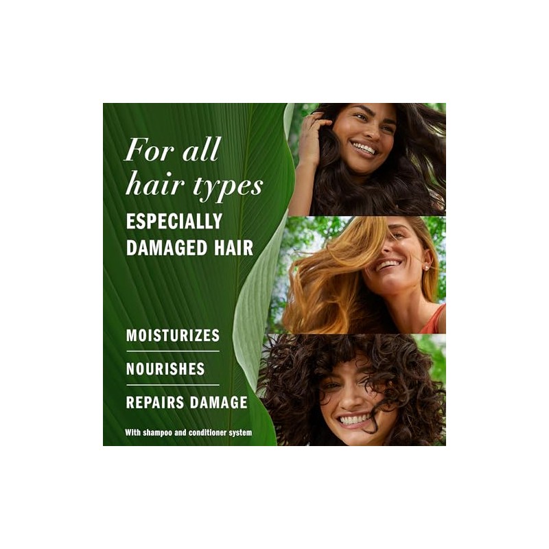Herbal Essences Champu y acondicionador de aceite de argan sin