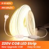 Xunata 230 V COB LED Strip with Switch, 360 LEDs/m