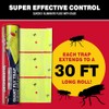 Catchmaster Giant Fly Glue Trap - 3-Pack Indoor & Outdoor