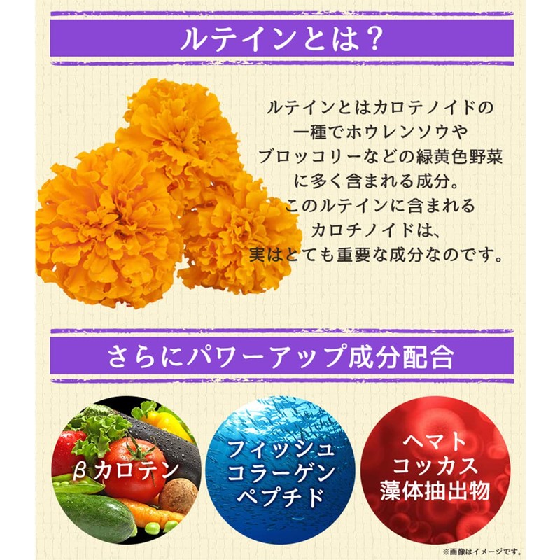 業務用 ルテイン 270粒 約3ヶ月分 目 サプリ サプリメント クッキリ スッキリ パソコン