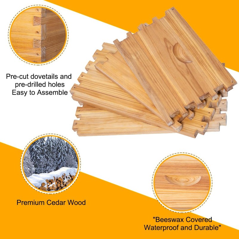 POLLIBEE Beehive- 8 Frame Bee Hive Starter kit, Beeswax Coated