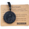 RICHRAIN Shungite Necklace Shungite Stone Pendant Crystal Protection Healing Crystals