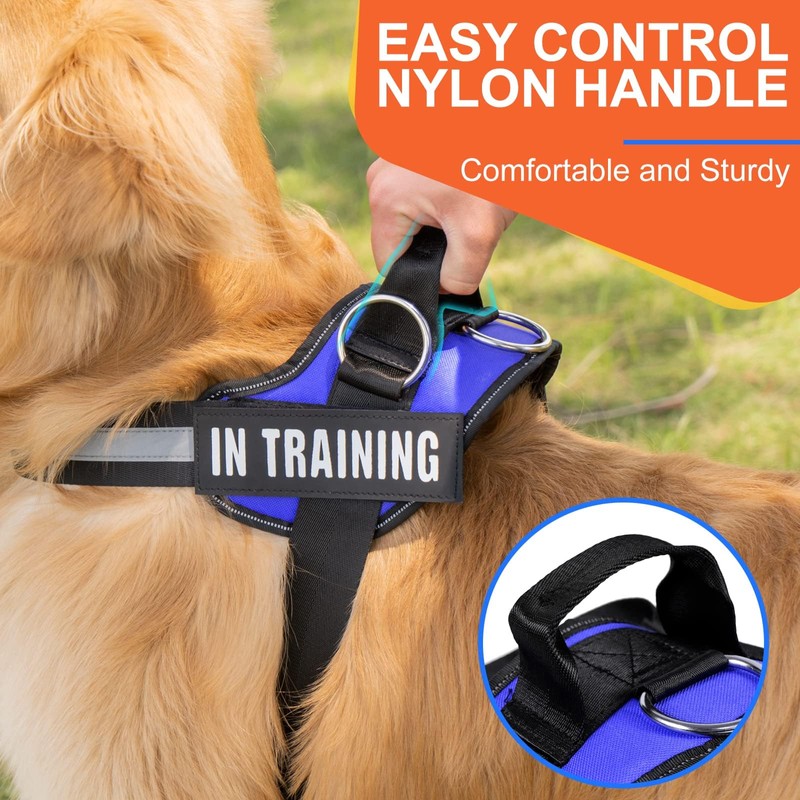 Essential Dog Harness, No Pull Pet Harness with 3 Side