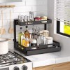 Ceetug 2 Tier Under Sink Organizers Storage Slide Out Kitchen