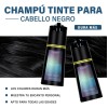 Shampoo Tinte Instantáneo Cubre Canas Natural Fácil 200ml