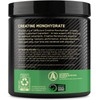 Optimum Nutrition Micronized Creatine Monohydrate Powder, Blueberry Lemonade Creatine, 60