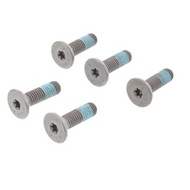 TRW Brake Disc Screw Set MSS116-5 3322938329006
