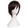 MapofBeauty Men's Short Straight Wig Cosplay Costume Wig (Dark Brown)