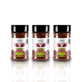 Chile en Polvo con Jamaica y Sal del Himalaya 3 Piezas de 110 g c/u - Holiquín de HOLIBLEND
