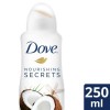 Dove Nourishing Secrets Restoring Antiperspirant Deodorant Spray 250ML 1PK