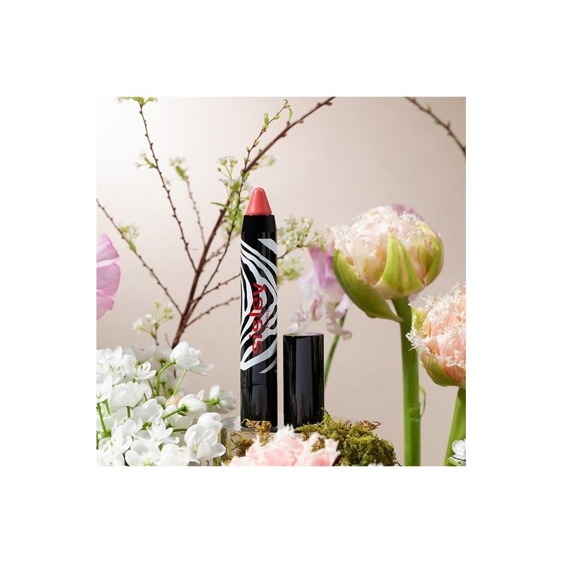 Phyto-Lip Twist Tinted Balm 2.5g (Lipstick) / 휘또-립 트위스트 틴티드