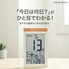 ADESSO Digital Day-turning Calendar, Radio Clock, Date, Week, Six Days,