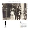 Dog Turning 2026 Calendar Refills Day Dive CK-D26-02