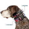 Buckle-Down Sleeping Beauty & Prince Scenes Plastic Clip Collar, Small/9-15