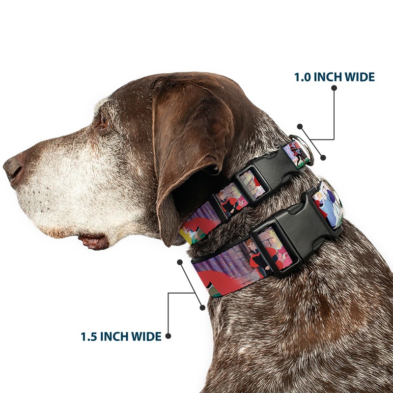 Buckle-Down Sleeping Beauty & Prince Scenes Plastic Clip Collar, Small/9-15