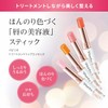 Papilio Lip Balm Lip Treatment Lip Essence EX Red Lip