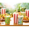 American Greetings Tropical Party Supplies for BBQs and All Summer