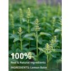 TeeLux Lemon Balm Tea Bags, Pure & Natural Lemon Balm