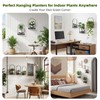 3 Pack Wall Plant Holder for Indoor Plants, Metal Wall
