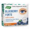 Blueberry Forte by Evalar Vitamins Lutein Zinc Minerals 100 Tabs