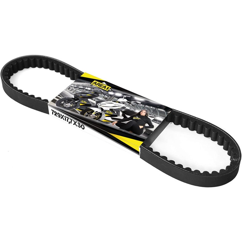 Area1 Variomatik + V-Belt 12 Inch for 50 cc 4-Stroke