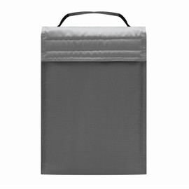 Preiswert&Gut Small Cool Bag 20 x 14 x 25 cm Choice of Colours - Insulated Bag for Drinks up to 500 ml, 6 Litre Capacity - Robust Thermal Bag, Optimal Insulation Also as a Freezer Bag (Silver)