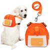 Bagentry Orange Dog Harness Backpack with Leash & Poop Bag