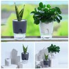 Planterhoma Self Watering Pots for Indoor Plants, 6 Pack, 3.2/4/6