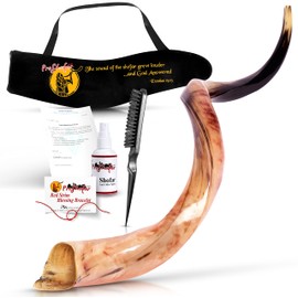 Fully Polished Kosher Shofar Set from Israel, Kudu Shofar Horn, Officially Signed Certificate, Made in Israel (20"-24")