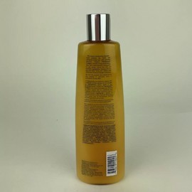 Graham Webb Silk Repair Advanced Therapy Shampoo 11 fl oz 793413110458