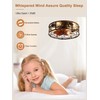 Curve Curio 18 Inch Farmhouse Caged Ceiling Fan with Light,