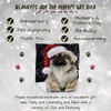 Pekingese Dog Blanket - Let it Snow - Super Soft