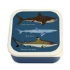 Sharks Reusable Snack Boxes (Set of 3)