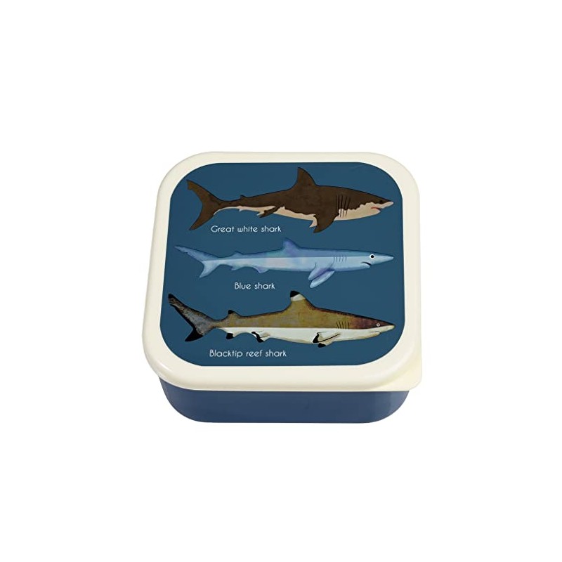 Sharks Reusable Snack Boxes (Set of 3)