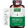 Raibu Probiotics for Gut Health - Probiotics & Prebiotics -
