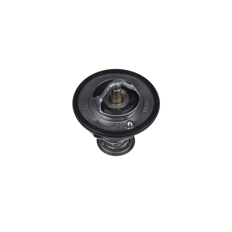 Blue Print ADC49204 Thermostat with Sealing Ring