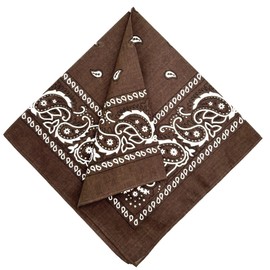 MDSTYLE 100% Cotton Bandana for Men & Women 22" x 22" Paisley Pattern Handkerchief Headband Scarf (Brown)