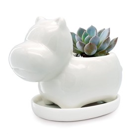 GeLive White Hippo Planter Mini Ceramic Succulent Plant Pot with Tray Saucer Decorative Flower Vase Fun Animal Decor (White)